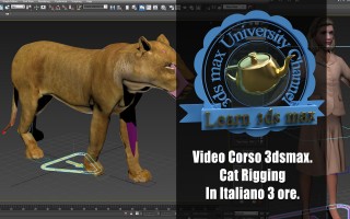 Corso 3ds max Cat Rigging.jpg